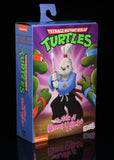 N.E.C.A. Teenage Mutant Ninja Turtles The Tale Of Usagi Yojimbo Action Figure