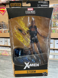 Hasbro Marvel Legends X-Men Storm Action Figure