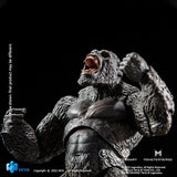 Godzilla VS Kong Exquisite Basic “Kong” HIYA Monsterverse