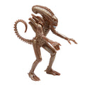 Super7 Aliens The Alien Warrior ( Stealth) Reaction Figure