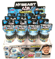 Mr.Beast Lab Swarms Mystery Box