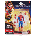 Hasbro Marvel Legends Spider-Man No Way Home Action Figure