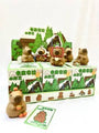 Capybara Figurine Vol 1 Blind Box – Treehouse Toys