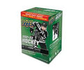 Upper deck 2021-22 Hockey Series Two Trading Card