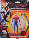 Hasbro Spider-Man Peter Parker Across The Spider-Verse Marvel Legend Series Action Figure