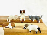 Fuchi Yasumi Cat Blind Box