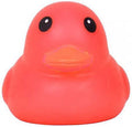 Sunny Days Red Ducks