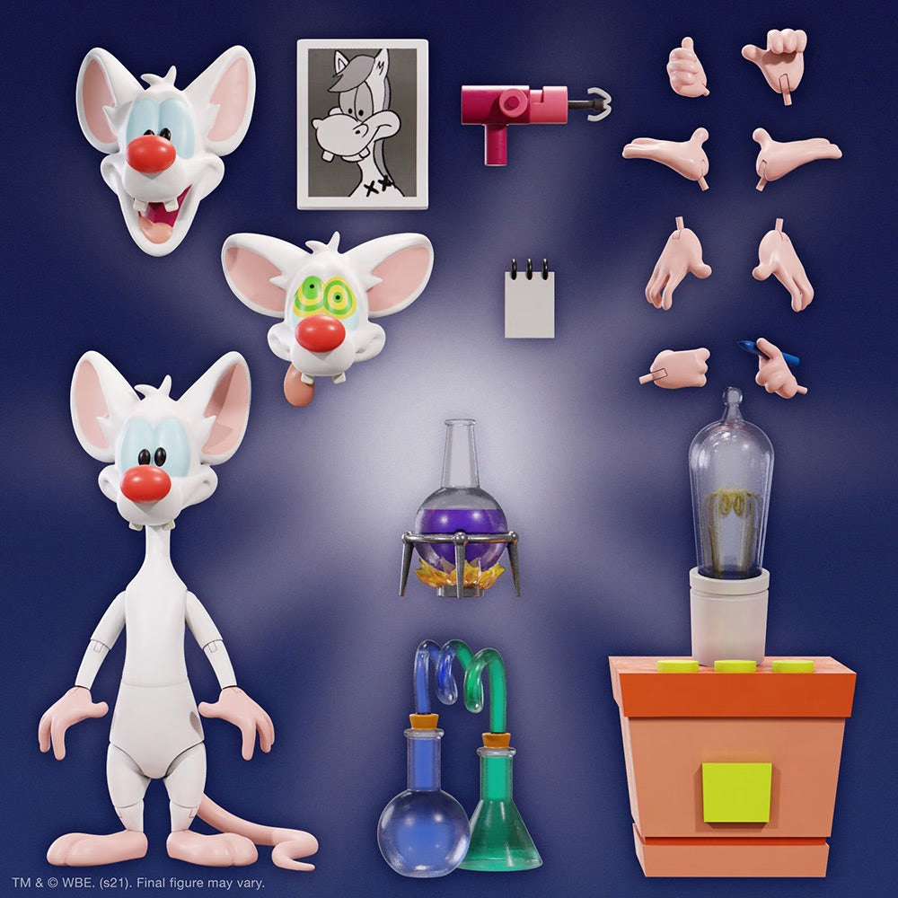 SUPER 7 Animaniacs “Pinky” Ultimates Action Figure